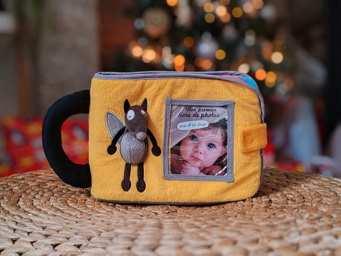 Carnet de naissance livre photos - loup auzou