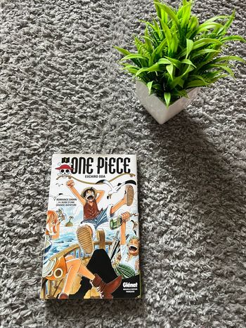 Livre One Piece 