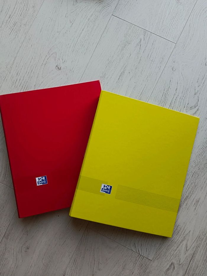 Lot de deux classeurs