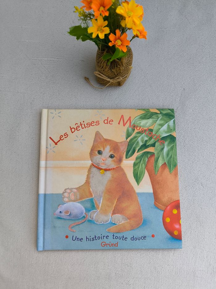 Livre Les bêtises de Moustache Gründ