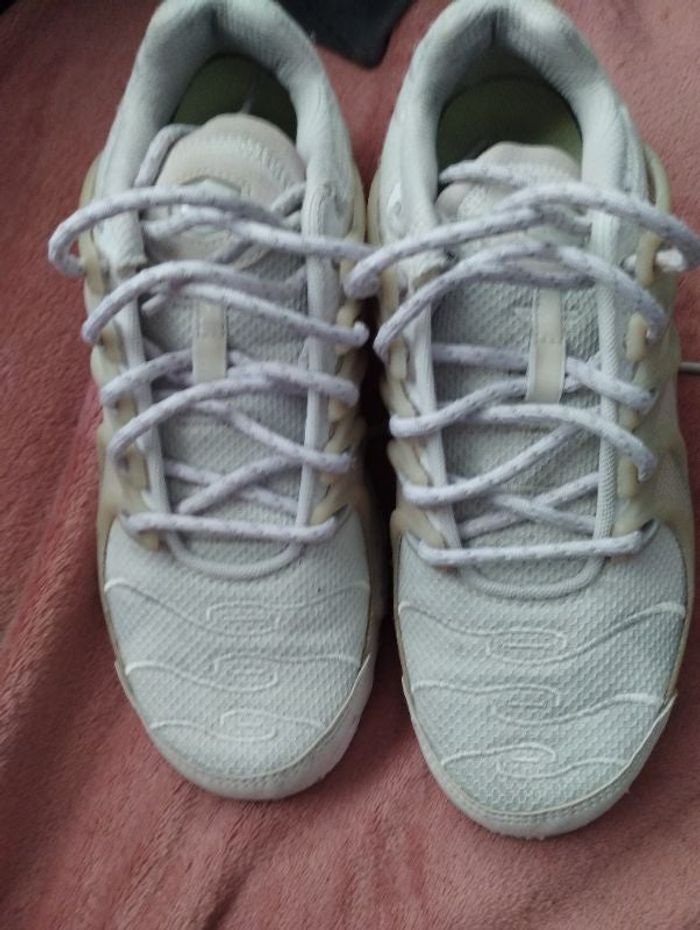 Tn blanche