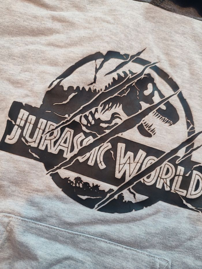 Sweat à capuche Jurassic world - photo numéro 2