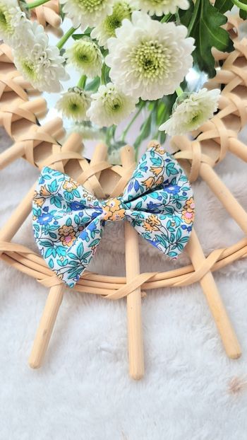 Barrette 