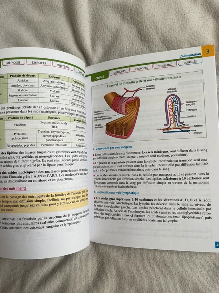 Bac st2s - photo numéro 4