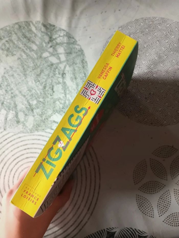 Livre " Zigzags " de Vanessa Caffin & Thierry Mattei 🌻🌾 - photo numéro 4