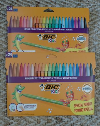 Lot 48 feutres de coloriage Bic
