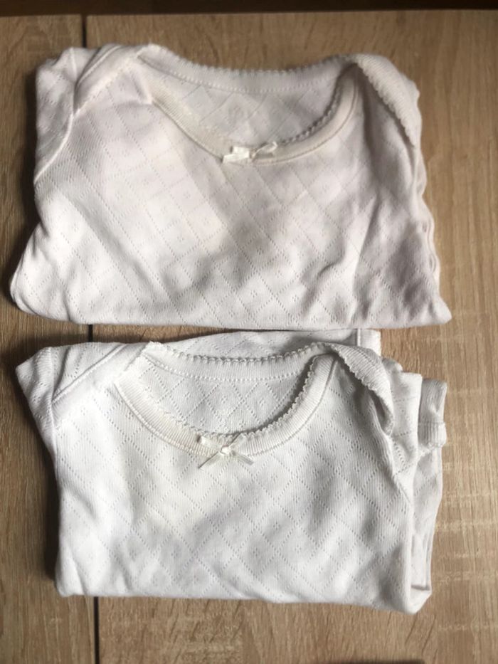 Lot 2 bodies manches longues 9 mois + 1 offert