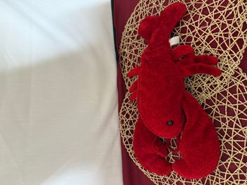 Peluche Homard Mary Meyer en tongs, douce et confortable