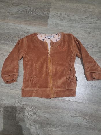 Veste gilet zippé marron en velours Dirkje