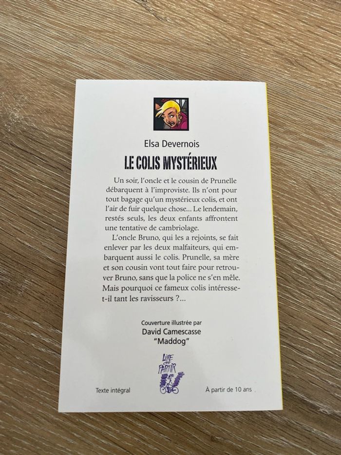 livre enfant Le colis mystérieux Elsa Devernois - photo numéro 2