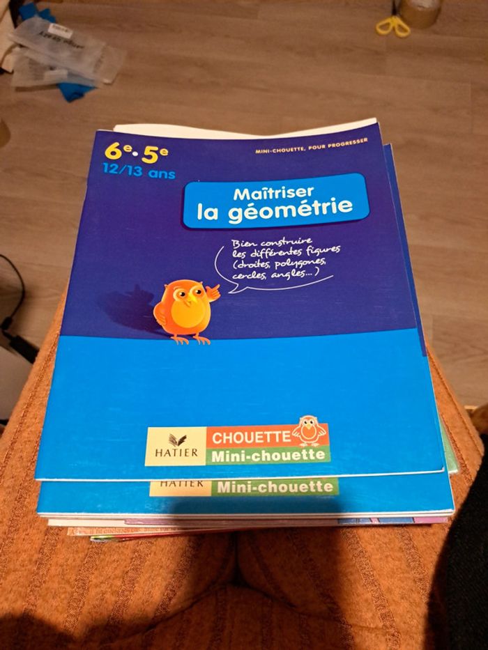 Maîtriser la géométrie