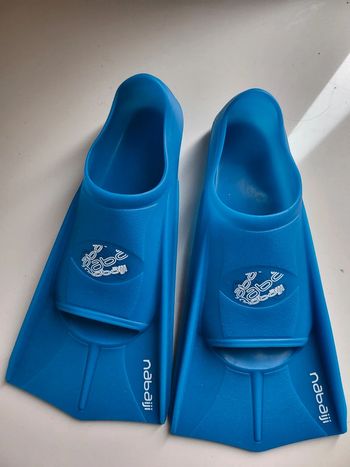 Palmes bleues 37/38