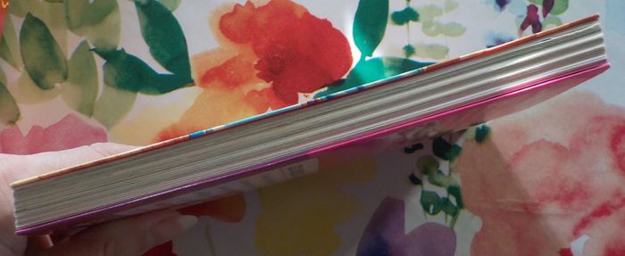 Le collège de Raxford T4 Les reines de la danse téa Stilton - photo numéro 4