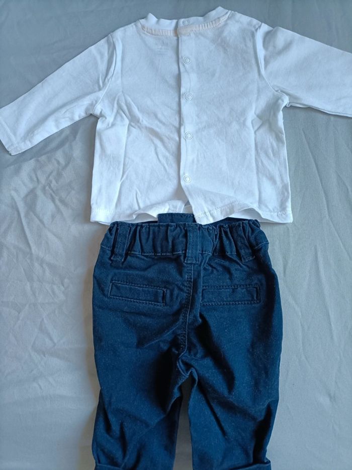 Ensemble Lions - photo numéro 6