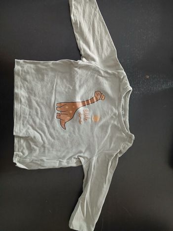 Tee shirt manches longues, 9 mois