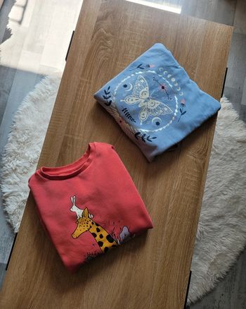 💕 2 magnifiques sweats 💕 Taille 10 ans
