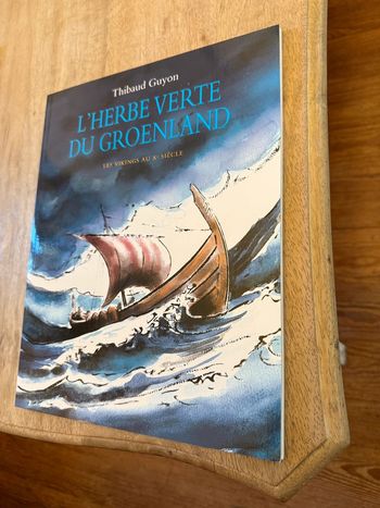 Beau livre album L’herbe verte du Groenland Les vikings au Xeme siècle Thibaud Guyon arctique