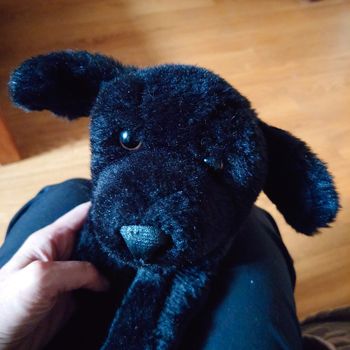 Peluche chien noir