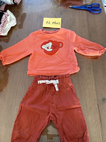 Ensemble koala Obaïbi