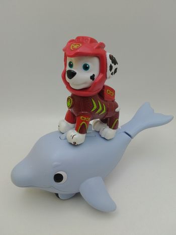 Marcus aqua pups 