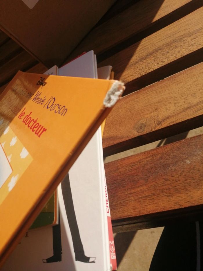 Livre une journée avec winnie l'ourson visite chez le docteur - photo numéro 3