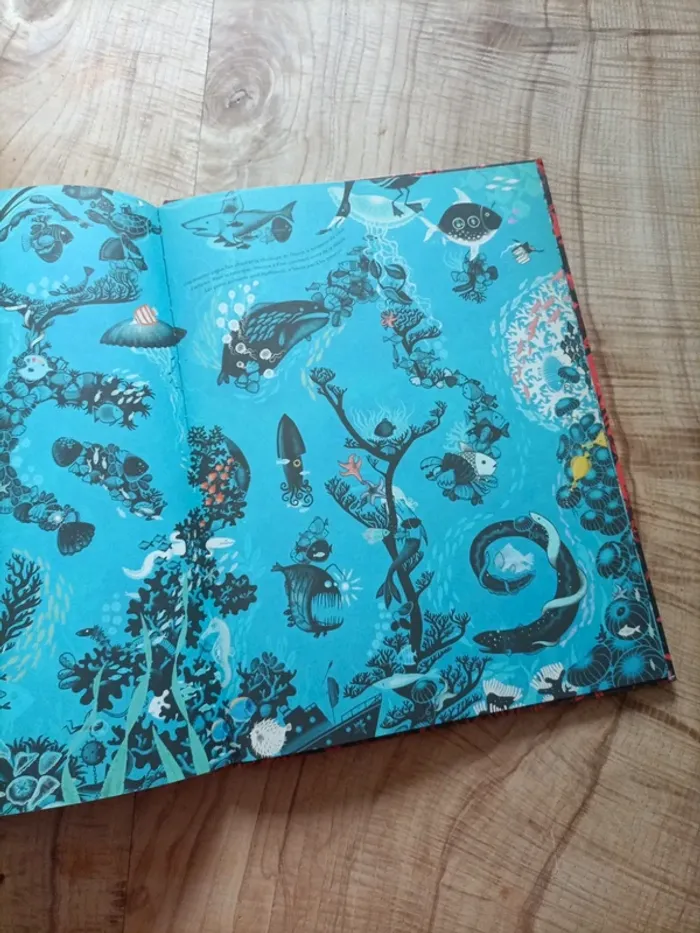 Livre jeu Flinn - photo numéro 3