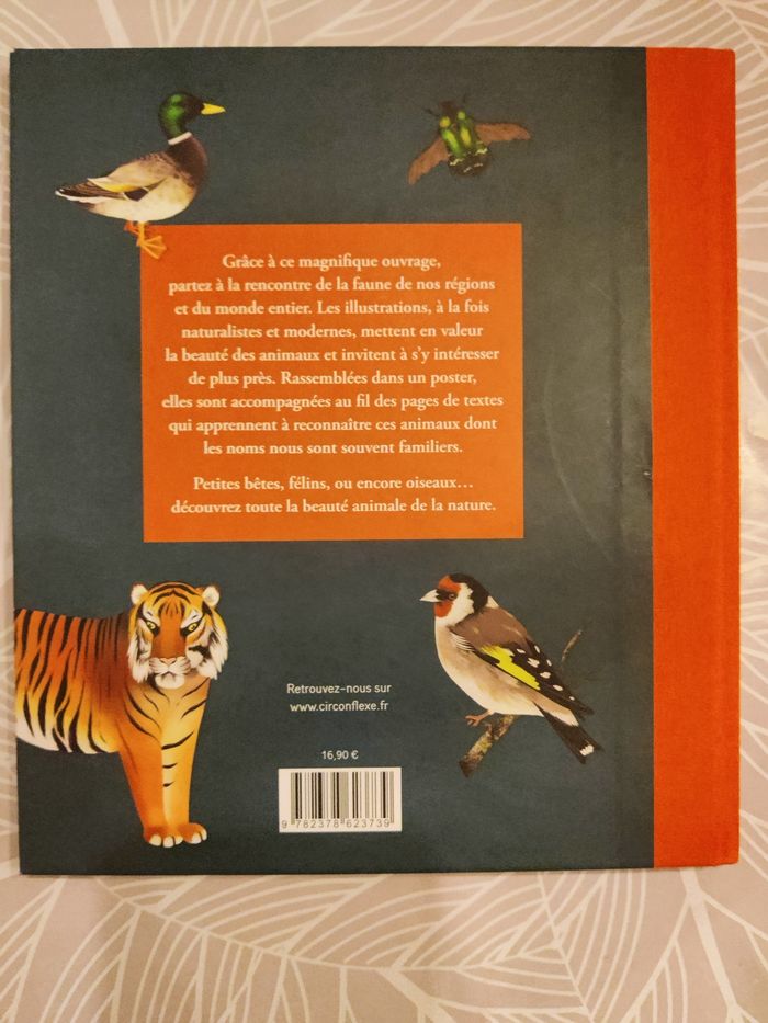 Faune sauvage - photo numéro 3