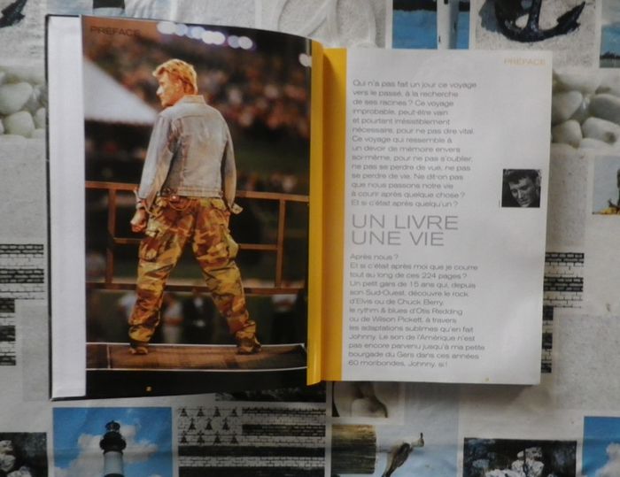 Johnny Hallyday, une vie par R. Bouet et J.Jacques Arnould - photo numéro 2
