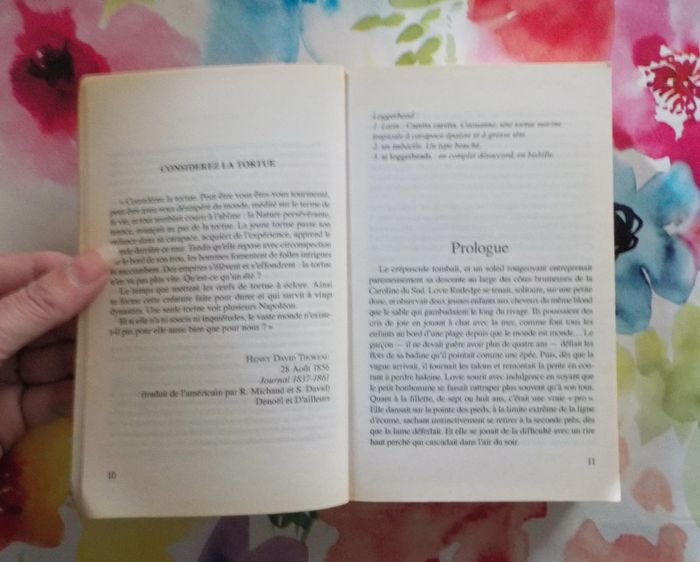 Le passé à fleur de peau de Mary Alice Monroe Harlequin Best-Sellers n°184 - photo numéro 5