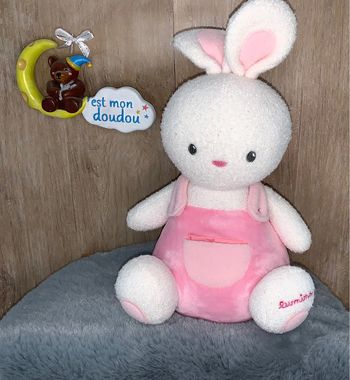 LM44 doudou lapin 🐰 luminou