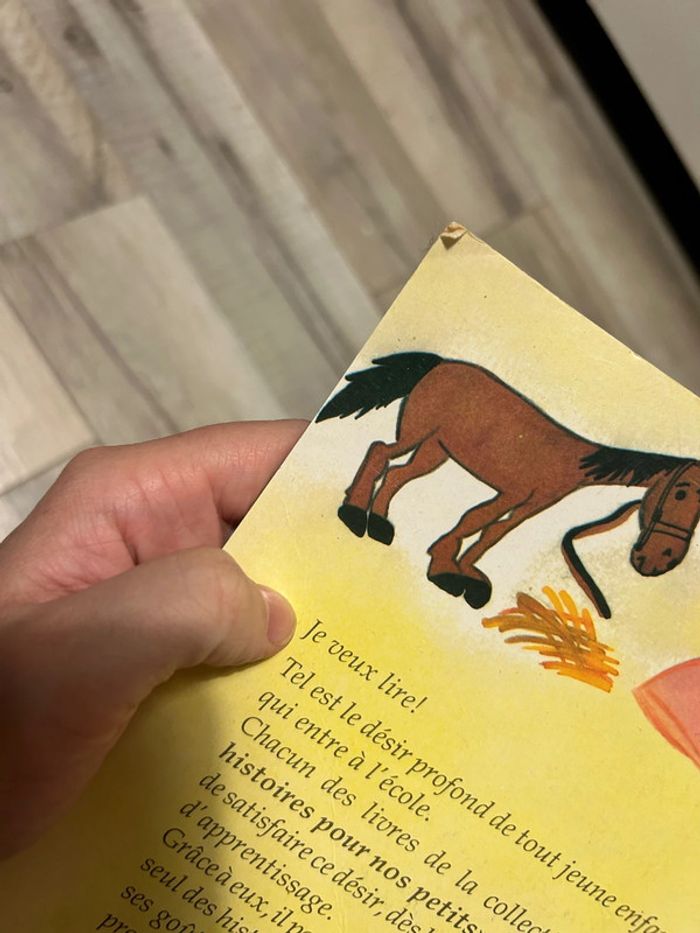 Livre des années 90 , fleur de neige - photo numéro 3