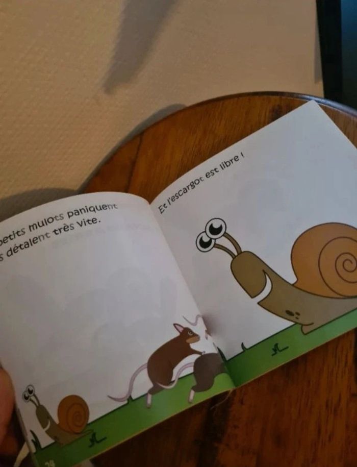 Livre enfant Jacassine - photo numéro 3