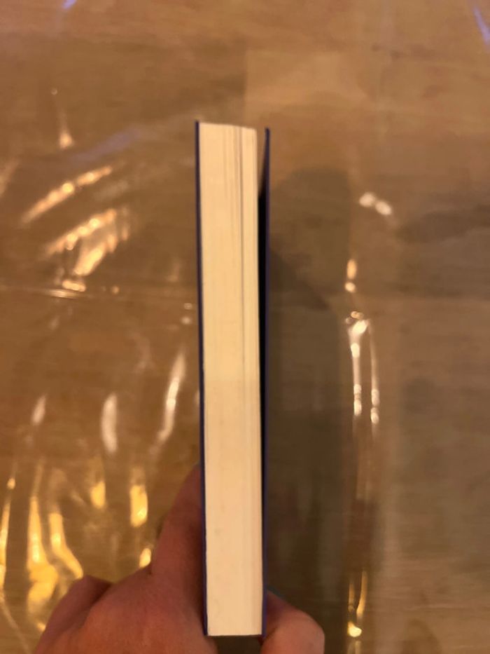 Livre un été avec homere - photo numéro 3