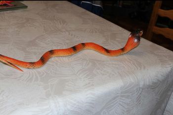 dinosaure  cobra géant