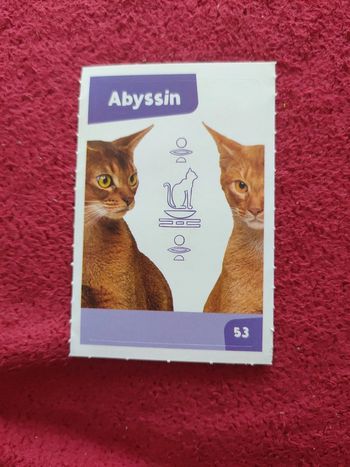 Autocollant nos amies les bêtes