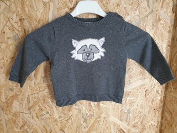 Pull raton laveur 9 mois