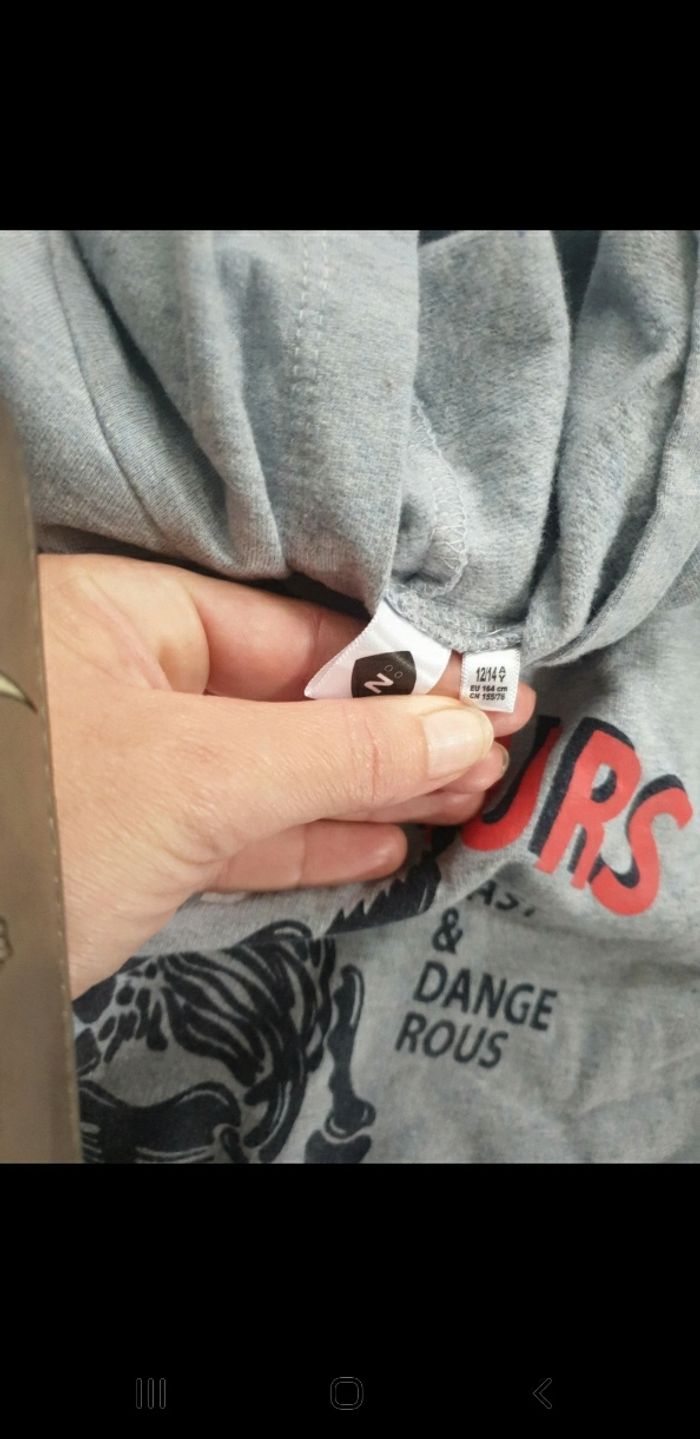 T-shirt épais dinosaure 12/14 ans - photo numéro 3