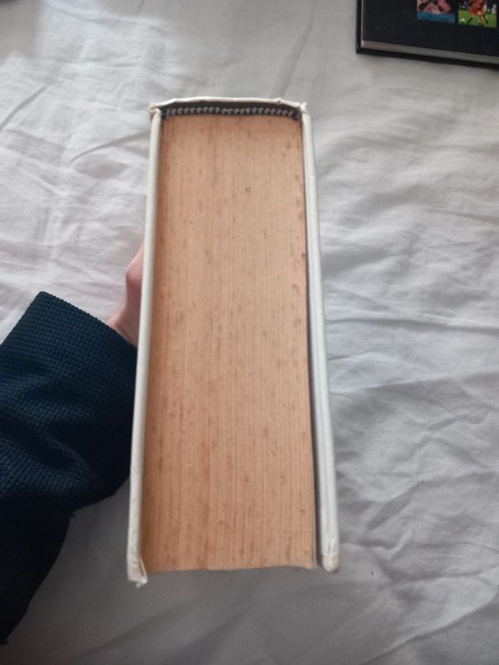 Larousse dictionnaire du français au collège - photo numéro 5