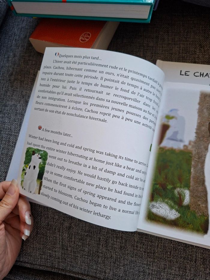 Livres pour enfant en anglais et français Le chat guerisseur - photo numéro 5