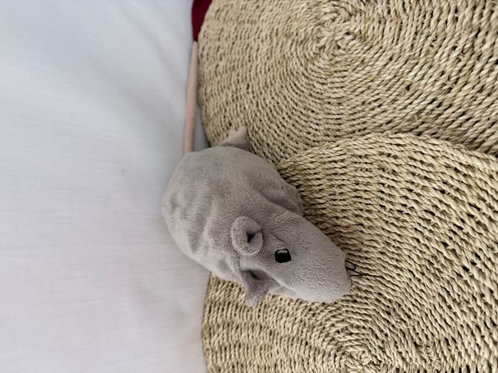 Peluche Doudou Rat Souris Grise - Gosig Ratta - IKEA - photo numéro 4