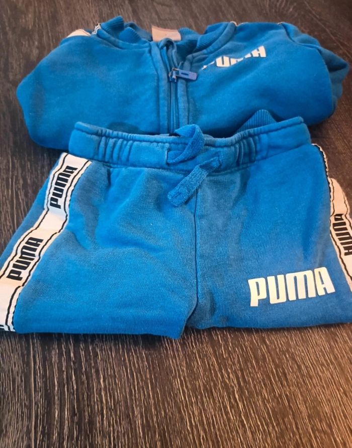Ensemble Puma