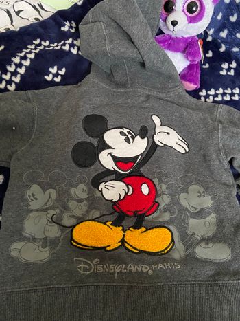 Sweat capuche disney