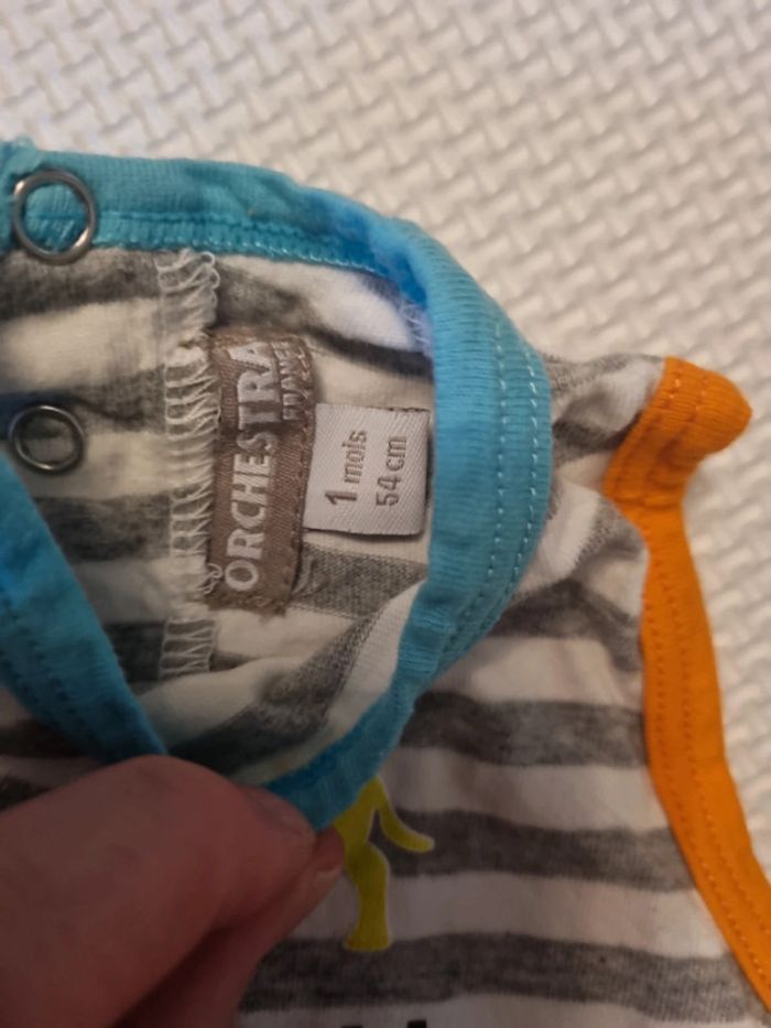 Grenouillère orchestra - photo numéro 4