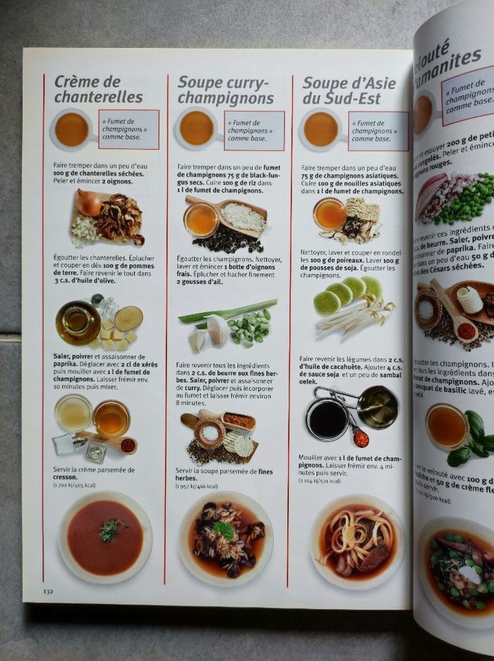 LIVRE RECETTES "1000 Soupes du monde entier" Éditions NGV - photo numéro 4