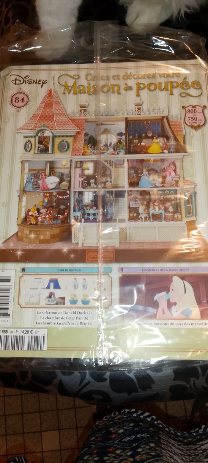 Fascicules la maison de Disney - photo numéro 2