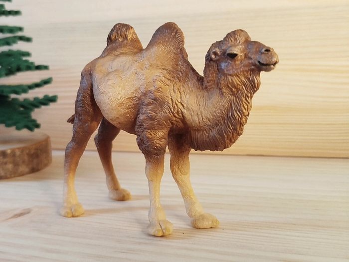 PAPO chameau Figurine animal de la savane - photo numéro 2