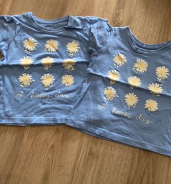 2 t-shirts 9/12 mois