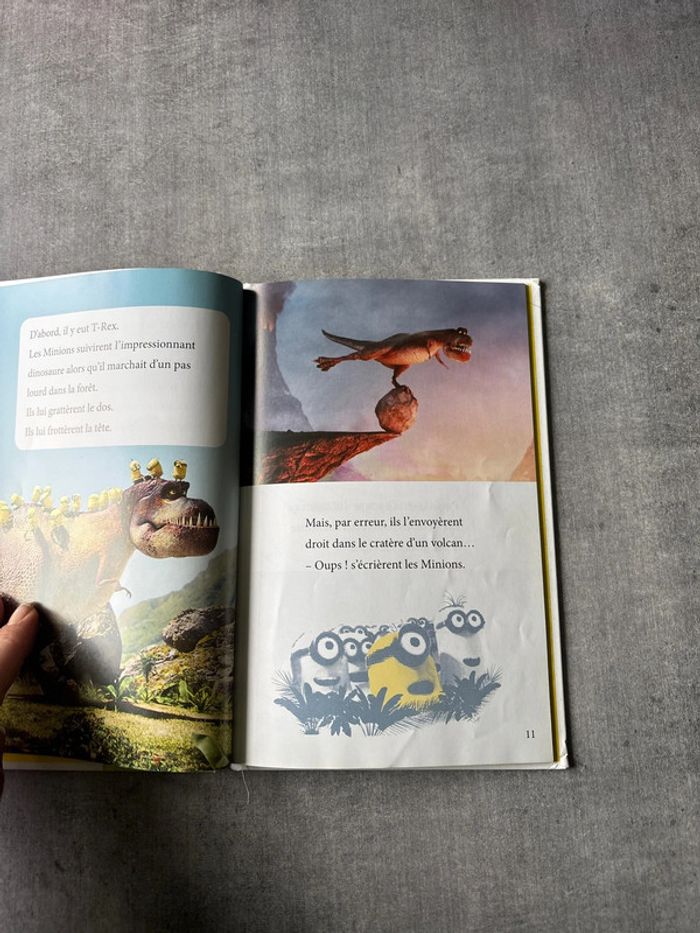 Livre les Minions qui est le chef - photo numéro 4