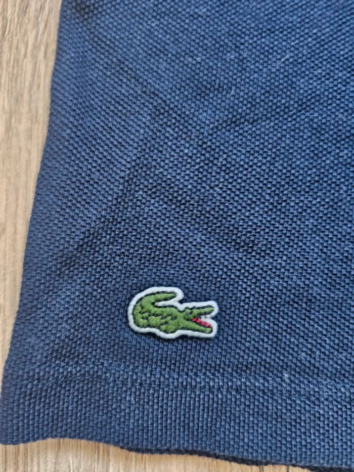 Polo Lacoste tbe - photo numéro 2