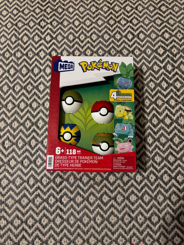 Mega Pokémon  dresseur de Pokémon de